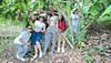 Chocolate tour brisas del cauca
