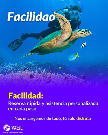 Viaja A Lo Fácil