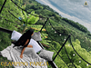 El Encanto Eco-Hotel Glamping