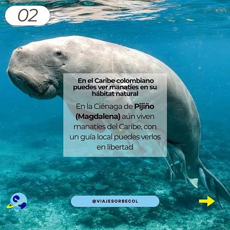 Viajes Orbe L'alianxa