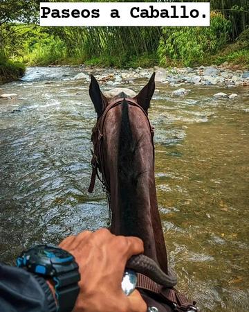 Nature Tours And Adventure
