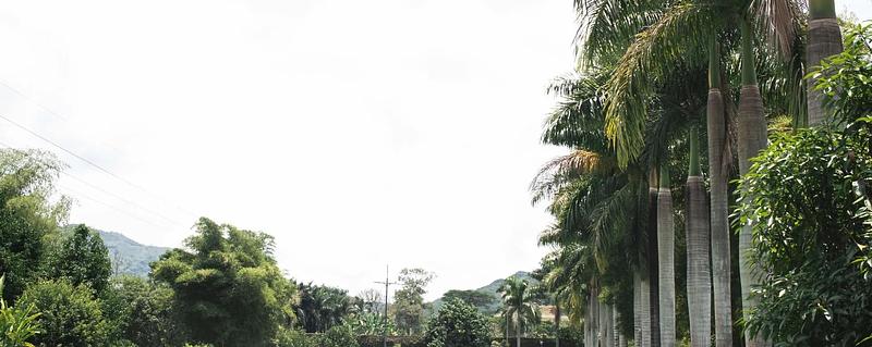 Hotel Campestre El Paraiso S.A.S.