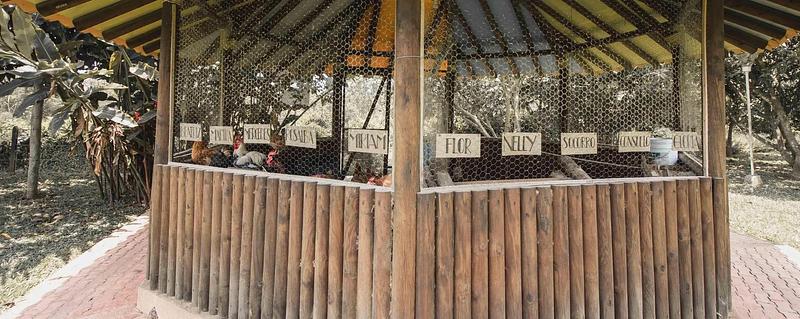 Hotel Campestre El Paraiso S.A.S.