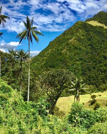 Nature Tours And Adventure