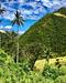 Nature Tours And Adventure