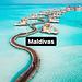 Expery Travel