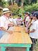 Chocolate tour brisas del cauca