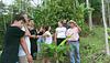Chocolate tour brisas del cauca