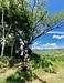 Tourfincas